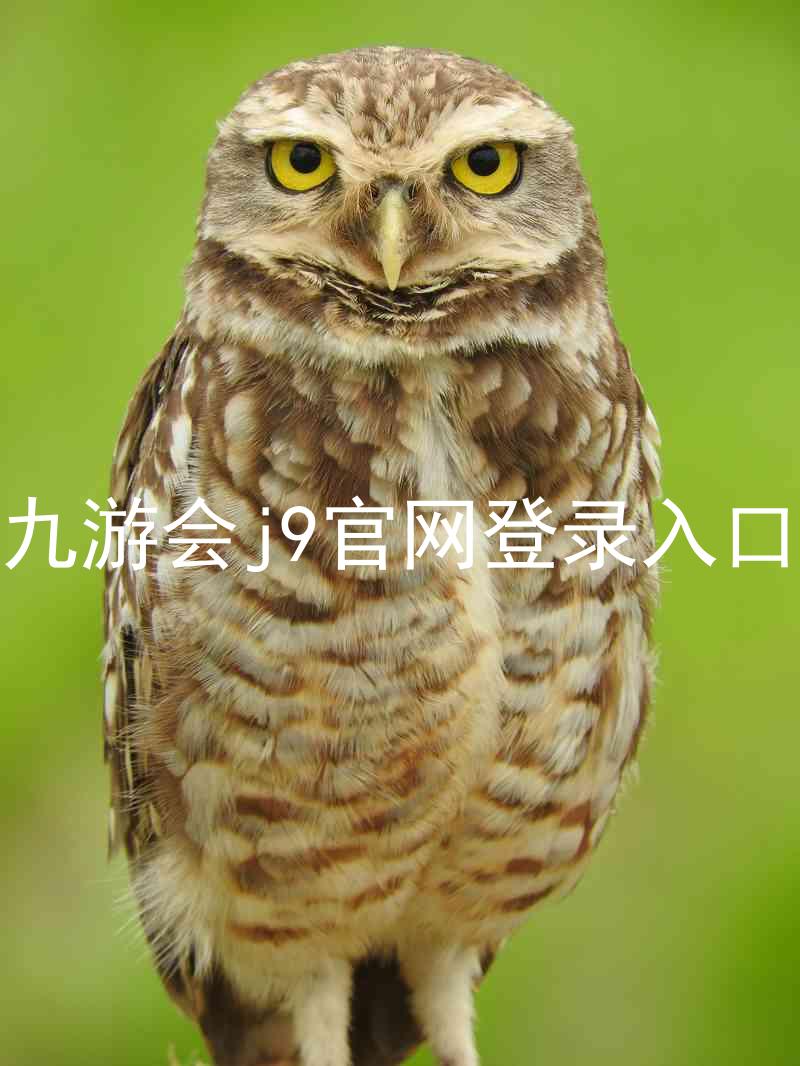 九游会j9官网登录入口